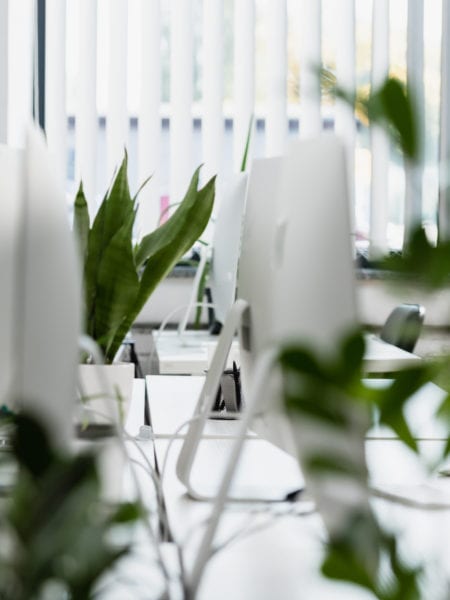 A woman working at a desk in an office with plants, representing a website design company in Chicago.