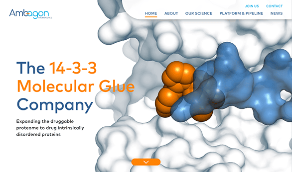 Website homepage of ambeagon featuring a 3d molecular structure in blues and oranges with text overlay "the 14-3-3 molecular glue company".