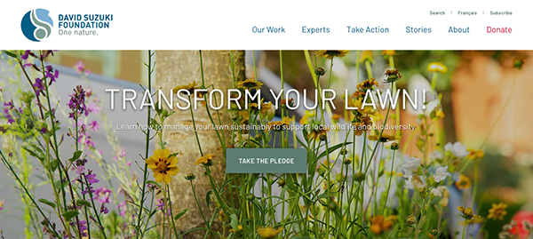 Website homepage of the david suzuki foundation displaying a banner with the text "transform your lawn!" set against a background of vibrant wildflowers.