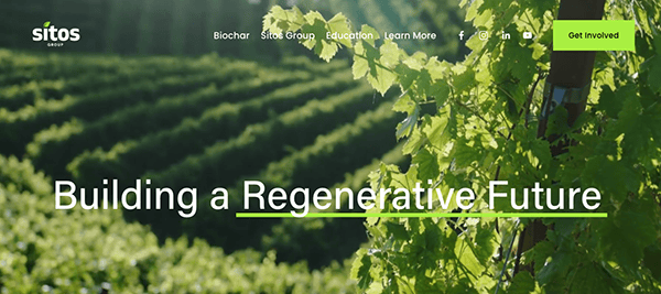 Website header image featuring lush vineyard rows under a clear sky, with the text "building a regenerative future" overlaid at the bottom.