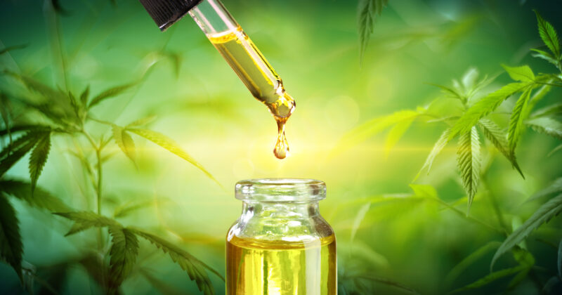 A dropper releases oil into a small glass bottle surrounded by green cannabis leaves against a blurred green background, epitomizing the serene and holistic vibe sought in the best CBD website designs.