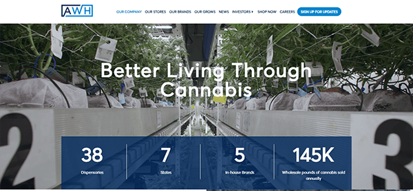 A greenhouse with cannabis plants filling the space. The text reads "Better Living Through Cannabis" with company statistics below: 38 dispensaries, 7 states, 5 in-house brands, and 145K pounds of cannabis sold annually.