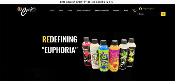 Image of a website homepage showcasing various colorful beverage bottles with the text "REDEFINING 'EUPHORIA'". The navigation bar includes links to Home, Shop, FAQs, Brand Ambassador, Distributors/Retailers, and More.