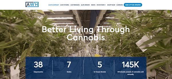 A greenhouse filled with cannabis plants, featuring text that reads "Better Living Through Cannabis" and statistics: 38 dispensaries, 7 states, 5 in-house brands, and 145K wholesale pounds of cannabis sold annually.