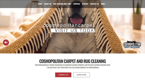 A dog underneath a rug is displayed on a carpet cleaning company's website homepage. The website includes navigation links, a company logo, and options to contact the business or learn more.