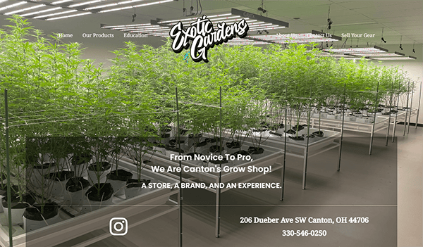 A warehouse with rows of potted cannabis plants under LED lights. Text overlay advertises Exotic Gardens, a grow shop, located at 206 Dueber Ave SW, Canton, OH, with a contact number 330-546-0250.