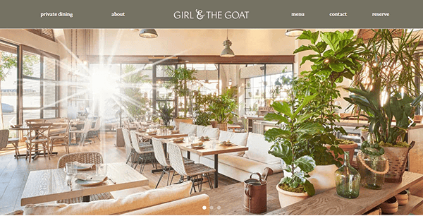 Sunlit dining area of Girl & the Goat restaurant, where wooden tables and chairs are surrounded by large green plants. Sunlight glistens through expansive windows on the left, creating a warm and inviting ambiance. Discover more about their unique vibe on the best restaurant websites.