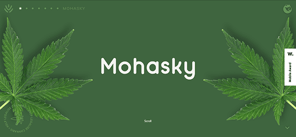 Green background with two cannabis leaves on the sides and the word "Mohasky" in the center.