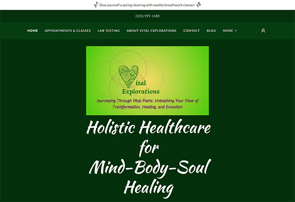 Website homepage with the title "Vital Explorations," offering holistic healthcare for mind-body-soul healing. The page includes contact information and navigation links for appointments, classes, lab testing, and a blog.