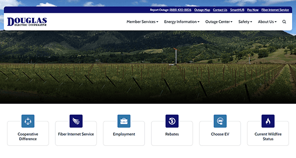 Douglas Electric Cooperative website homepage with a navigation bar on top, vineyard background, and multiple service icons including Cooperative Difference, Fiber Internet Service, and Rebate options displayed.