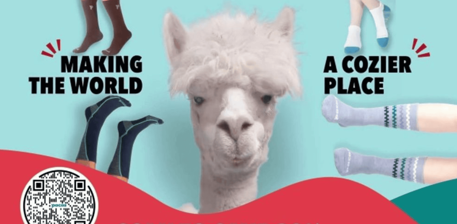 A llama with text "Making the World a Cozier Place" is surrounded by sock-wearing feet, capturing winning examples of comfort that resonate like successful social media ads. A QR code in the bottom left corner invites you to explore further.