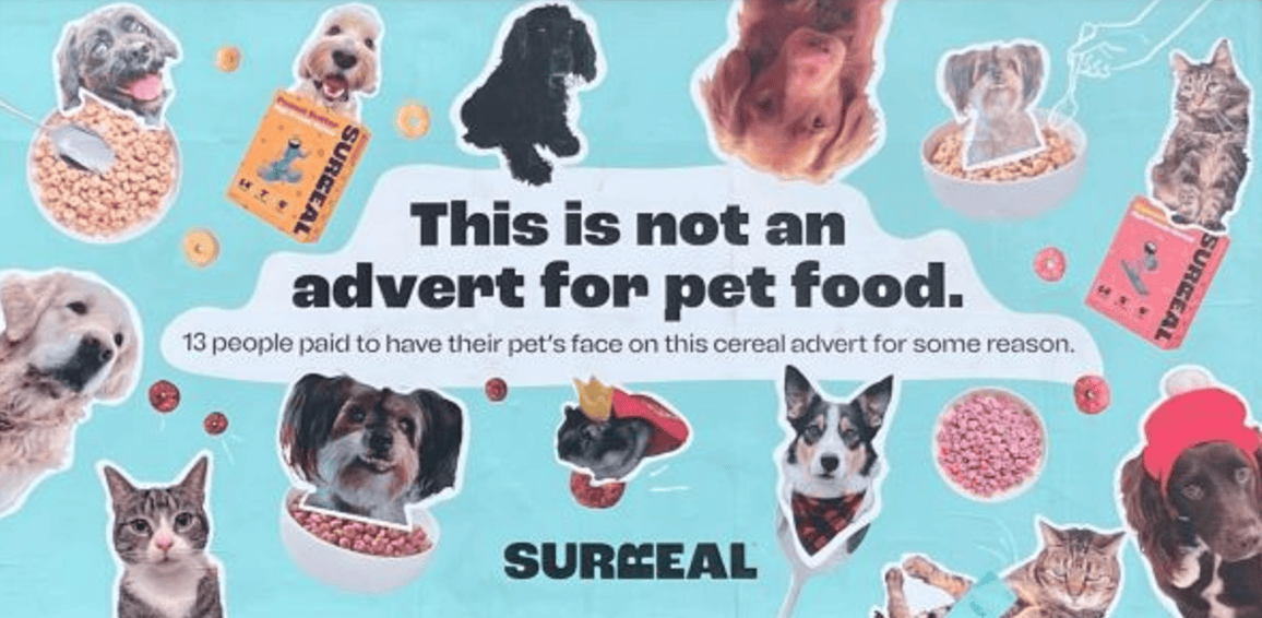 A collage of pets with cereal boxes and bowls. Text reads, "This is not an advert for pet food. 13 people paid to showcase their pet’s face on this quirky cereal display—a winning example of creative social media ads.