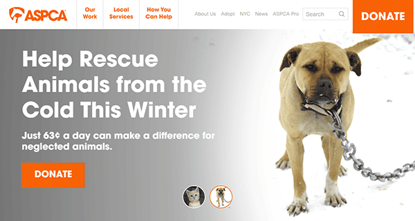 ASPCA website banner features a chained dog shivering in the snow, urging visitors to contribute to winter animal rescue donations. Recognized as one of the best charity sites, your support can make a vital difference.