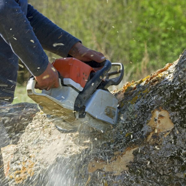 A person expertly wields a chainsaw to cut a large log outdoors, with wood chips flying around—a testament to skilled tree care and precision landscaping.