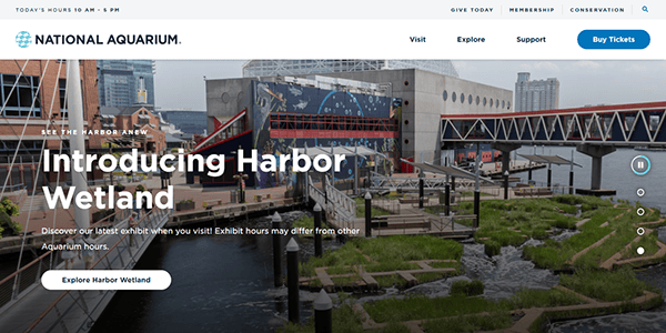 Discover the new Harbor Wetland exhibit at the National Aquarium, where urban architecture meets lush green spaces and serene waters. Dive into one of the best aquarium websites to explore this unique experience or secure your tickets today.