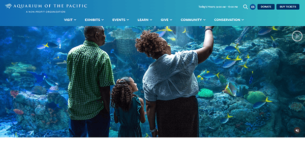 A family of three stands captivated in front of an aquarium exhibit, observing colorful fish swimming around coral reefs. They chat about how aquarium websites can offer great educational resources to enhance their visit and understanding of marine life.