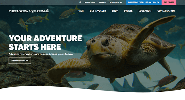 Sea turtle swimming underwater beside coral. Text reads, "Your Adventure Starts Here at the Best Aquarium. Advance reservations are required, book yours today." Florida Aquarium header and navigation visible on the aquarium website.