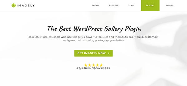 Discover the best WordPress gallery plugin by Imagely, showcasing exceptional customization features and boasting a 4.3/5 rating from over 3800 users. Enhance your site effortlessly with Gallery Plugins designed for perfection. Click "Get Imagely Now" to elevate your web presence!.