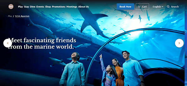 A family observes marine life through an aquarium tunnel, captivated by various sharks and fish swimming overhead in one of the best aquariums.