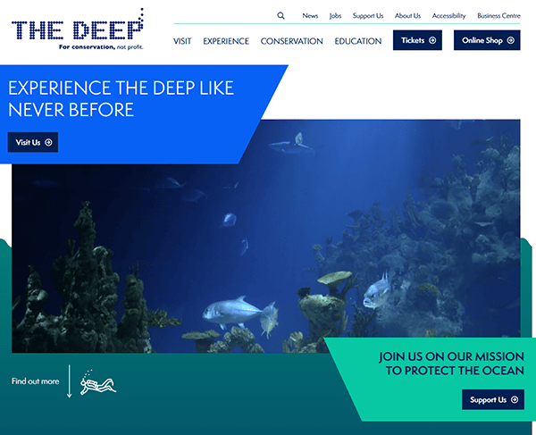 Dive into one of the best aquarium websites, showcasing an enchanting underwater scene with vibrant fish and coral. Explore our easy navigation menu and discover ways to visit or support ocean conservation efforts.