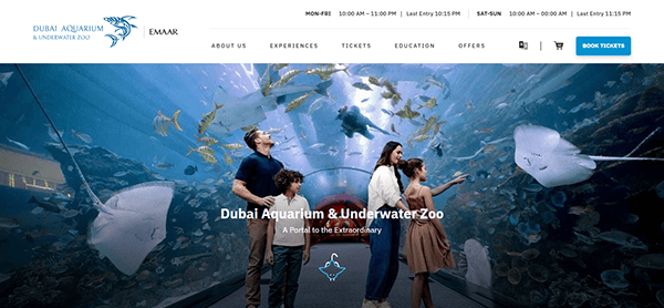 People marvel at the vibrant marine life as they stroll through the aquarium tunnel at Dubai Aquarium & Underwater Zoo, renowned by some as the best aquarium.