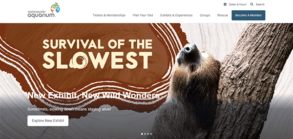 Discover the Vancouver Aquarium homepage, where you'll find a sloth amidst the text "Survival of the Slowest: New Exhibit, New Wonders." Dive into one of the best aquarium websites and uncover a world of aquatic marvels.