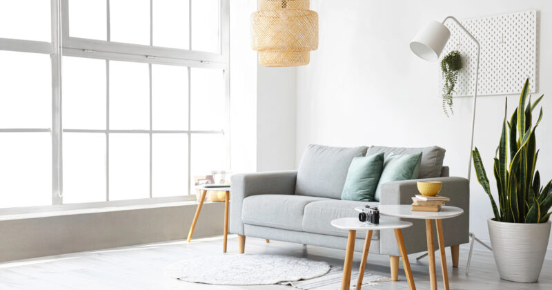 Discover the perfect modern living room with a gray sofa, round tables, a potted plant, and a floor lamp by exploring the best furniture stores. A woven pendant light hangs overhead beside a large window that brightens the space beautifully.